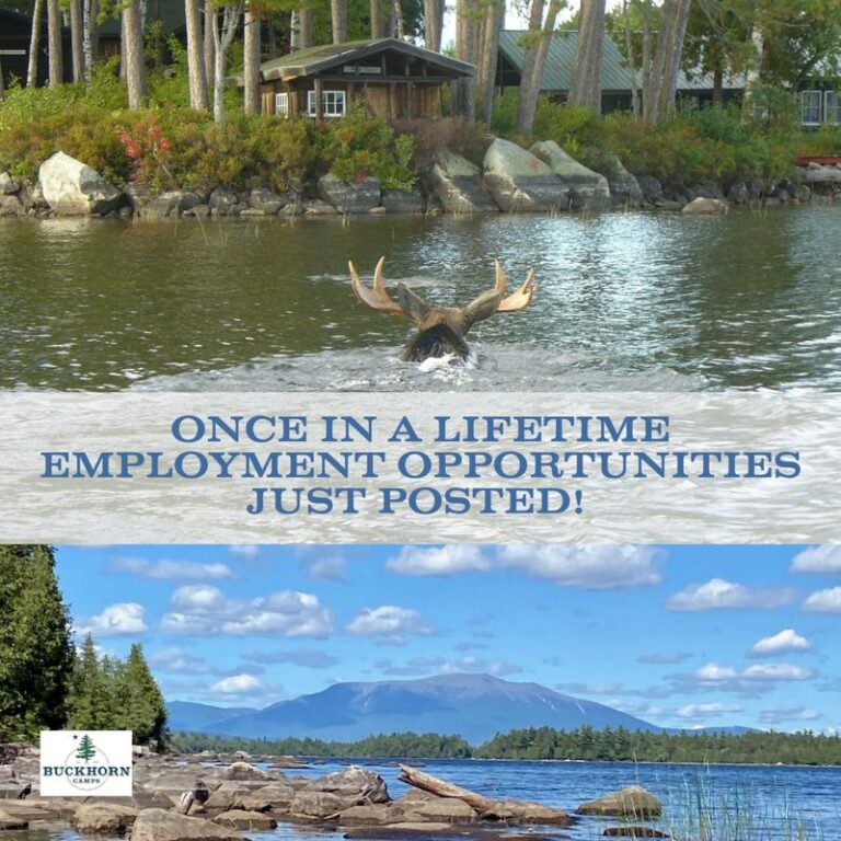 Hiring post for Buckhorn Camps with a moose swimming past the camp